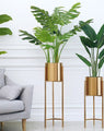 PR Tree Decor TXC